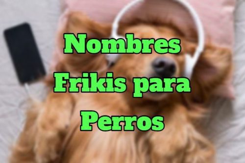 Nombres frikis para perros, lista de nombres frikis y originales para perros